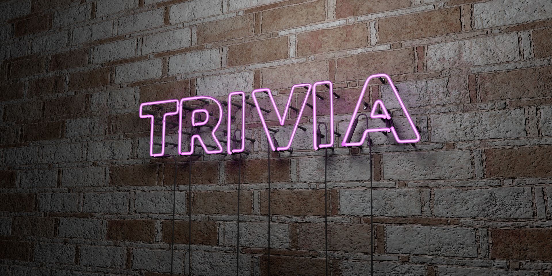 Trivia; Night; Fun